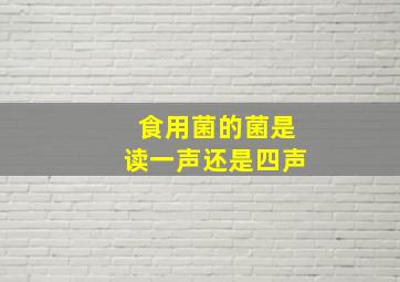 食用菌的菌是读一声还是四声