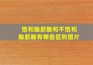 饱和脂肪酸和不饱和脂肪酸有哪些区别图片