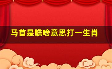 马首是瞻啥意思打一生肖