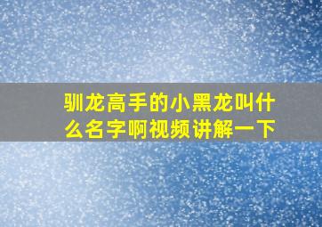 驯龙高手的小黑龙叫什么名字啊视频讲解一下