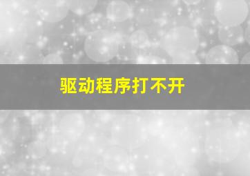 驱动程序打不开