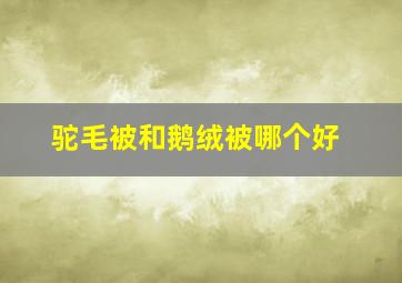 驼毛被和鹅绒被哪个好