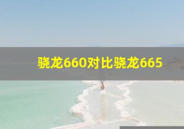 骁龙660对比骁龙665