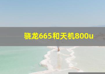 骁龙665和天机800u