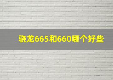 骁龙665和660哪个好些