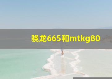 骁龙665和mtkg80