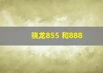 骁龙855+和888