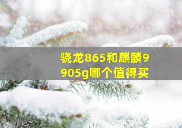 骁龙865和麒麟9905g哪个值得买