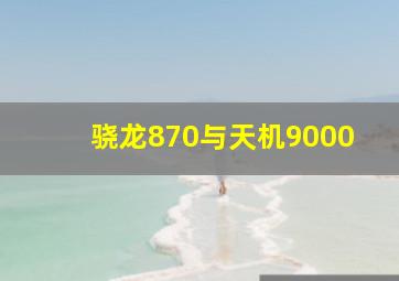 骁龙870与天机9000