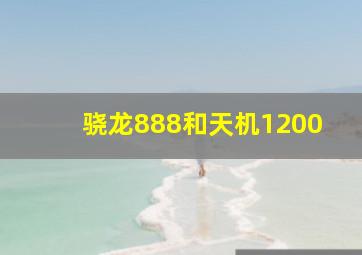 骁龙888和天机1200