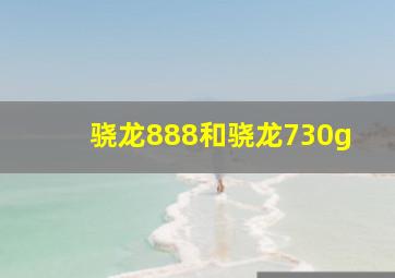 骁龙888和骁龙730g