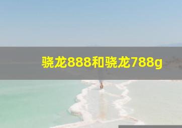 骁龙888和骁龙788g