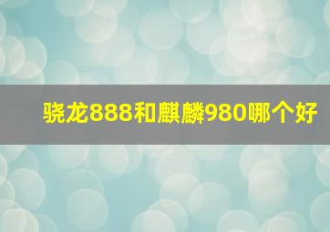 骁龙888和麒麟980哪个好