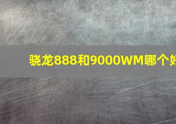 骁龙888和9000WM哪个好