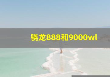 骁龙888和9000wl