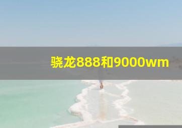 骁龙888和9000wm