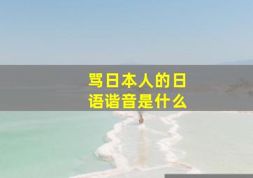 骂日本人的日语谐音是什么