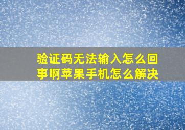 验证码无法输入怎么回事啊苹果手机怎么解决