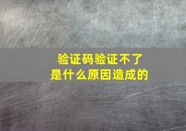 验证码验证不了是什么原因造成的