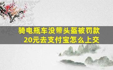 骑电瓶车没带头盔被罚款20元去支付宝怎么上交