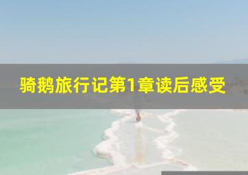 骑鹅旅行记第1章读后感受