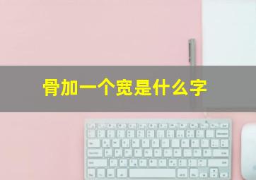 骨加一个宽是什么字