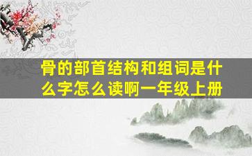 骨的部首结构和组词是什么字怎么读啊一年级上册