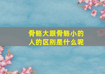 骨骼大跟骨骼小的人的区别是什么呢