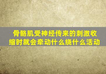 骨骼肌受神经传来的刺激收缩时就会牵动什么绕什么活动