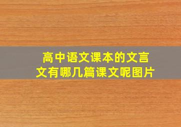 高中语文课本的文言文有哪几篇课文呢图片