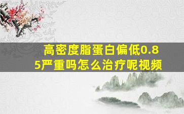 高密度脂蛋白偏低0.85严重吗怎么治疗呢视频