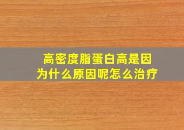 高密度脂蛋白高是因为什么原因呢怎么治疗