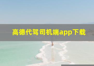 高德代驾司机端app下载