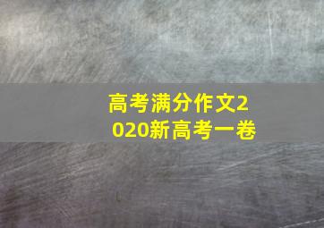 高考满分作文2020新高考一卷