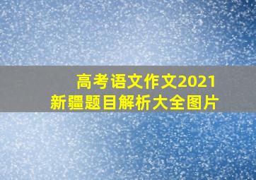 高考语文作文2021新疆题目解析大全图片