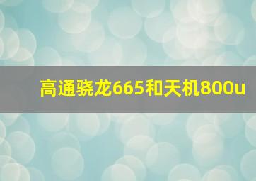 高通骁龙665和天机800u