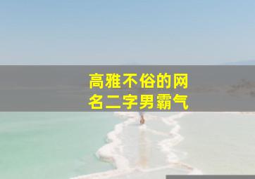 高雅不俗的网名二字男霸气