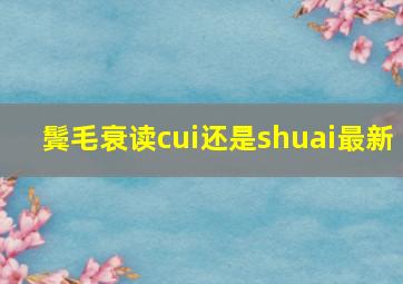 鬓毛衰读cui还是shuai最新