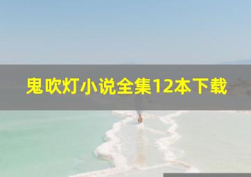 鬼吹灯小说全集12本下载