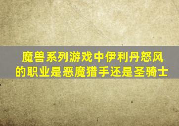 魔兽系列游戏中伊利丹怒风的职业是恶魔猎手还是圣骑士