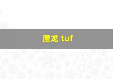 魔龙 tuf