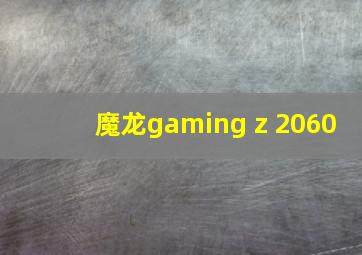 魔龙gaming z 2060