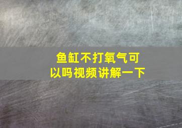 鱼缸不打氧气可以吗视频讲解一下