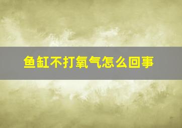 鱼缸不打氧气怎么回事