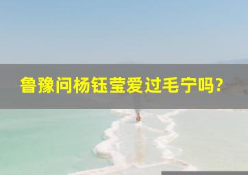 鲁豫问杨钰莹爱过毛宁吗?