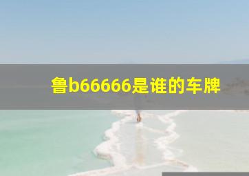 鲁b66666是谁的车牌