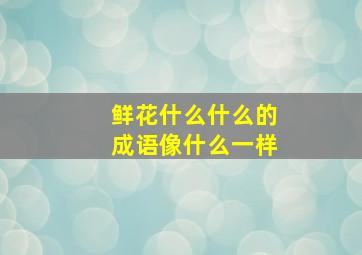 鲜花什么什么的成语像什么一样