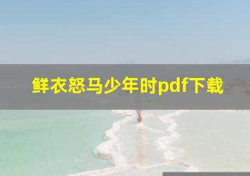 鲜衣怒马少年时pdf下载