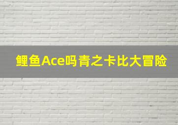 鲤鱼Ace吗青之卡比大冒险