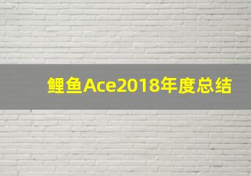 鲤鱼Ace2018年度总结